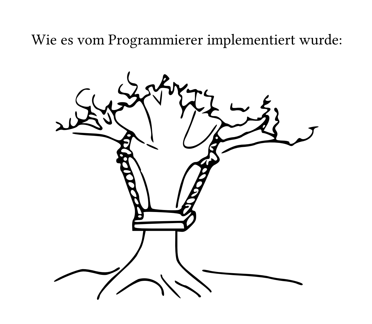project developer implementation